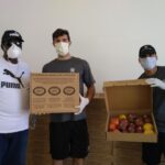 Palm beach harvest
