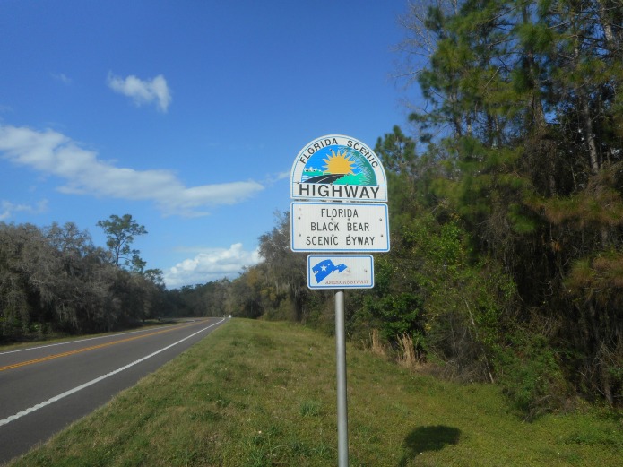 Close to Home: Florida Road Trips