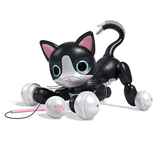 Time for Robo-Cat?