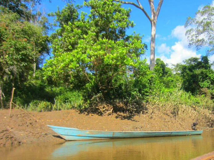 Peruvian Amazon on Travel with Terri for Around Wellington