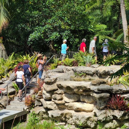 Mounts Botanical Garden of Palm Beach County To Host 15 Informative Programs & Events in June, Including the Windows Into Wellness Series (Wellness Walks, Yoga, Pilates, Qi Gong) & L.I.T. Art & Science 4-Day Mini-Camp for Teens