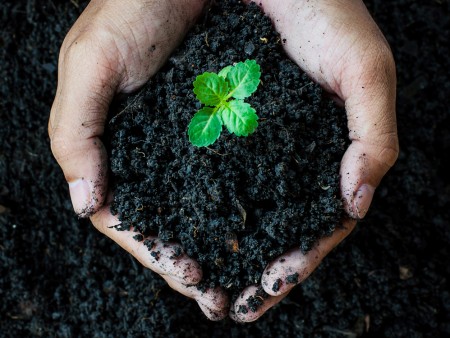 Waste Less, Grow More: A Guide to Compost Gardening