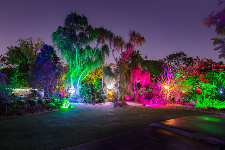 Garden of Lights at Mounts Botanical Garden