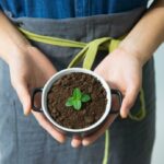 coffee-grounds