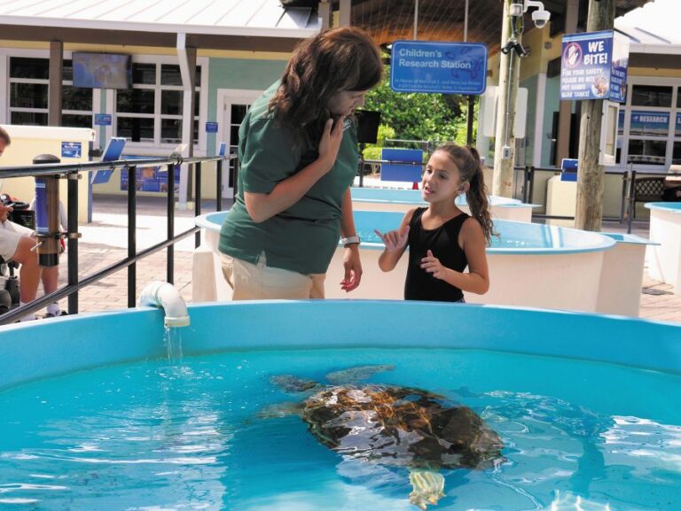 Loggerhead Marinelife Center Focuses on Diverse and Inclusive Programming