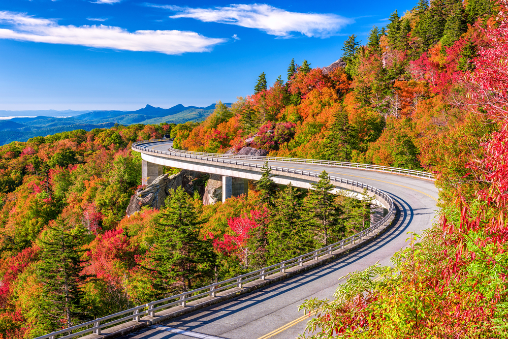 Road Trips on Around Wellington