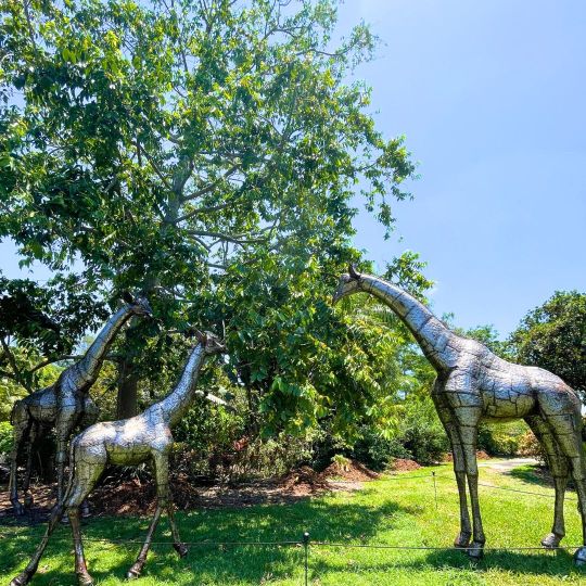 Mounts Botanical Garden of Palm Beach County to Host 19 Horticultural Classes and Events Plus Three Sessions of Garden Explorers Summer Camp During July 2023