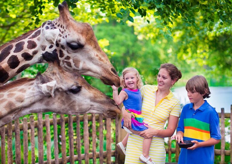 Palm Beach Zoo, Kids Free Summer Extended