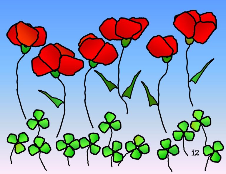 Poppies and Clover