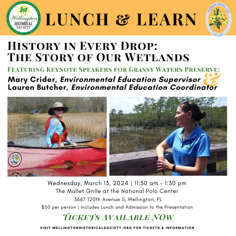 Lunch & Learn: The Story of our Wetlands