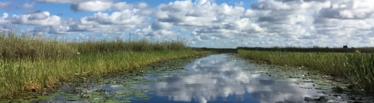 Everglades Days held the week of February 10-17