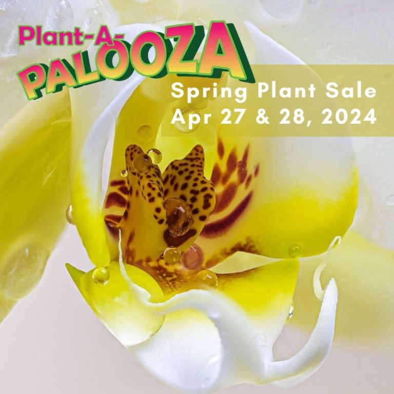 Mounts Botanical Garden of Palm Beach County to Host Plant-A-Palooza