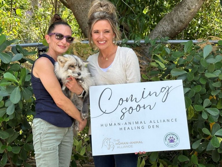 The Human-Animal Alliance grants $10,000 to Pawsitive Beginnings