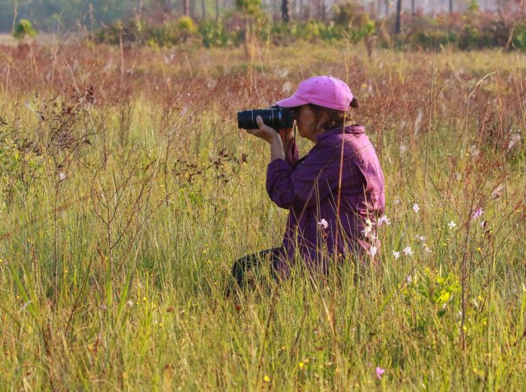 Garden Club Event to Feature CJ McCartney Talk on Butterflies, Pollinators and Native Plants