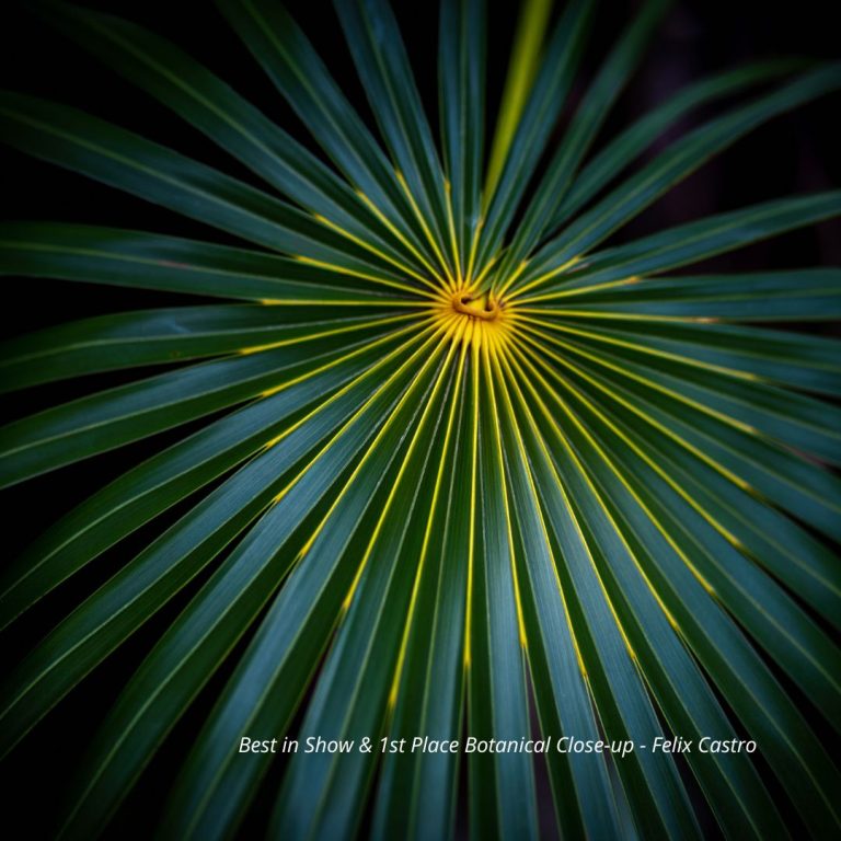 Mounts Botanical Garden of Palm Beach County Launches 17h Annual Photo Contest