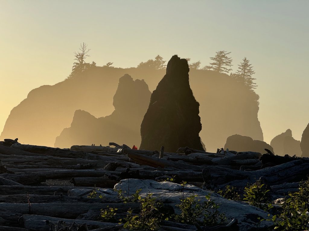 Sea stacks on Ruby Beach