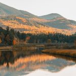 AW Fall Feature