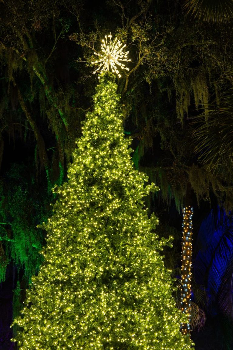 McKee Botanical Garden Invites Holiday Revelers to Enjoy