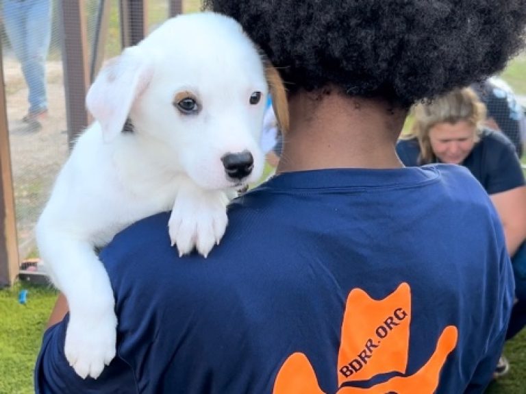 Foster Children Bring Christmas to Foster Puppies