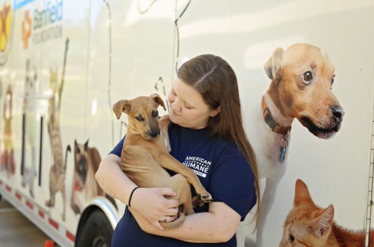 American Humane Society Recognizes February as Spay and Neuter Awareness Month