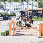 WEF24