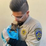 A519470_ACO Jose Oliva with Burned Kitten_011225