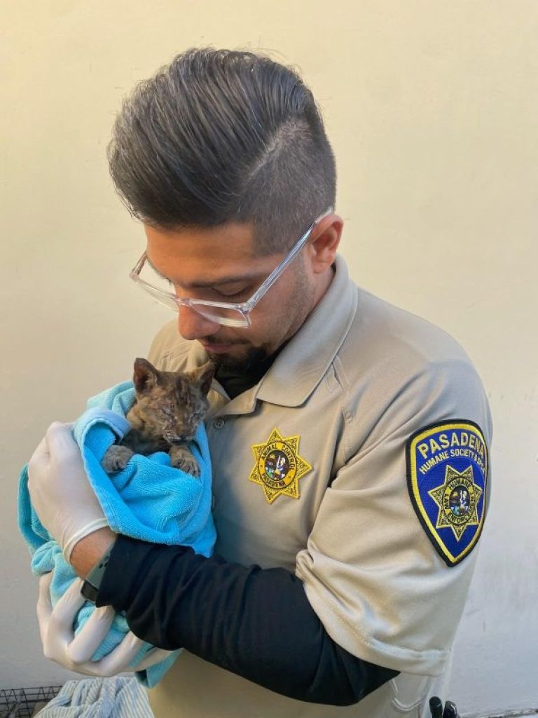 Wellington Nonprofit Human-Animal Alliance partners with Pasadena Humane to save animals in Southern California