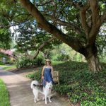 Dogs Day in the Garden – 2