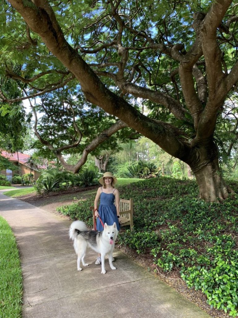 5 Tips for Keeping Your Pet Cool this Summer