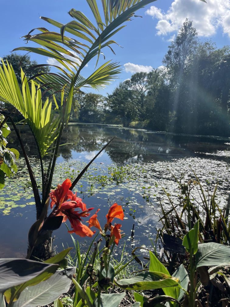 Mounts Botanical Garden is Celebrating Mother’s Day with FREE Admission for Moms