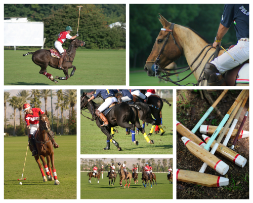 Post-Polo Season Athlete Recovery Tips from an Orthopedic Surgeon