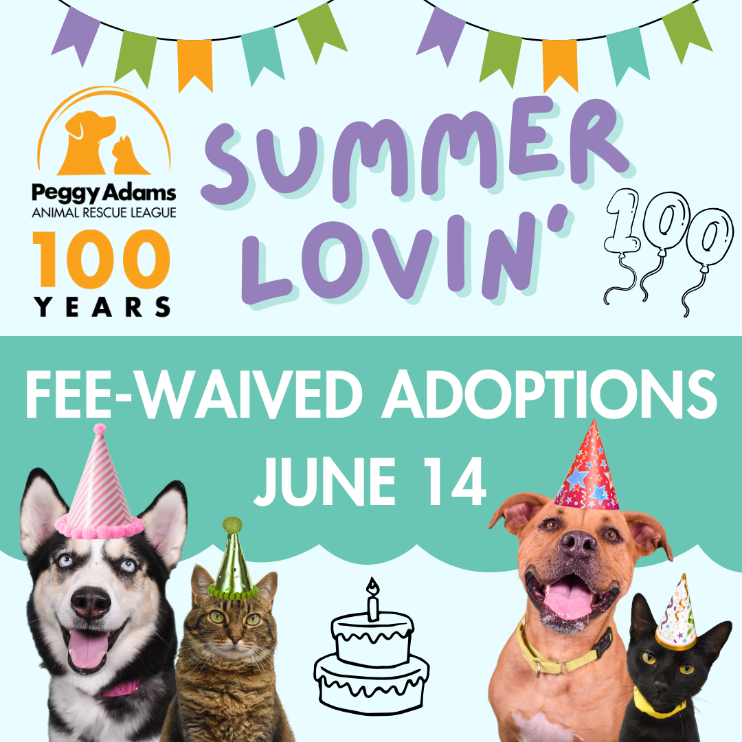Peggy Adams Animal Rescue Celebrates 100th Anniversary with Fee-Waived Pet Adoption Event: “Summer Lovin’”